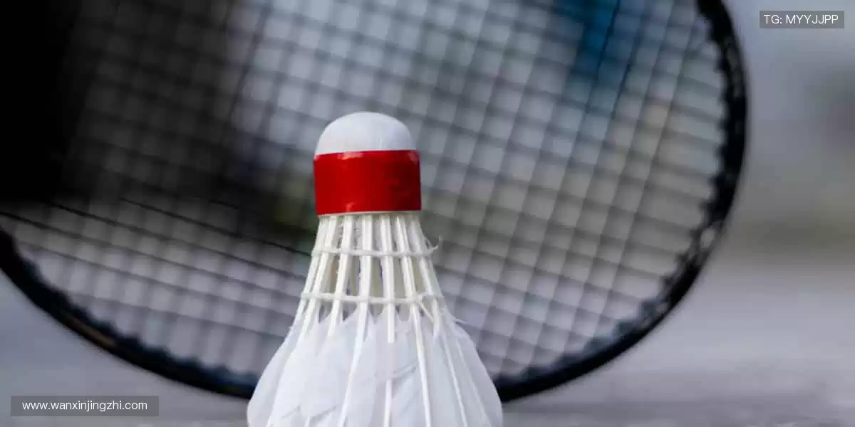 全球赛事，零时差直击！🌍 高清画质 + 多语言解说，畅享无国界体育盛宴！